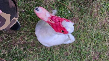 美らヤシパークオキナワ・東南植物楽園に投稿された画像（2024/12/7）