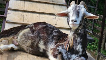 美らヤシパークオキナワ・東南植物楽園に投稿された画像（2024/12/7）