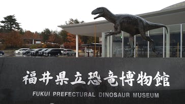 福井県立恐竜博物館に投稿された画像（2024/12/7）