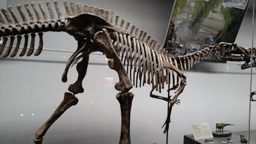 福井県立恐竜博物館に投稿された画像（2024/12/7）