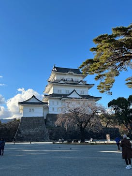 小田原城に投稿された画像（2024/12/7）