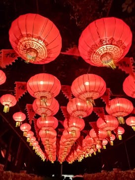 体験王国 むら咲むらに投稿された画像（2024/12/7）