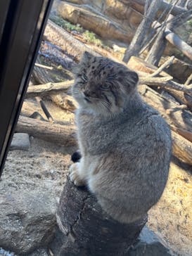 那須どうぶつ王国に投稿された画像（2024/12/7）