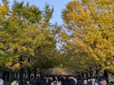 国営昭和記念公園 秋の夜散歩に投稿された画像（2024/12/7）