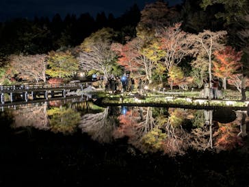 国営昭和記念公園 秋の夜散歩に投稿された画像（2024/12/7）