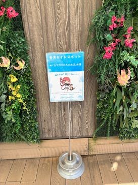 サンシャイン水族館に投稿された画像（2024/12/7）