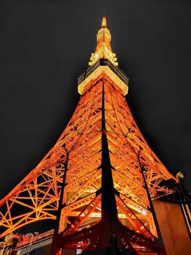 東京タワーに投稿された画像（2024/12/7）