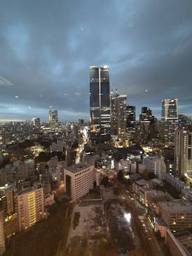 東京タワーに投稿された画像（2024/12/7）