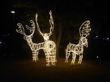 ラグーナテンボス ラグナシアに投稿された画像（2024/12/7）