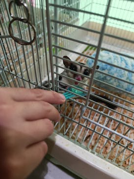 いきもの探検隊湘南に投稿された画像（2024/12/7）