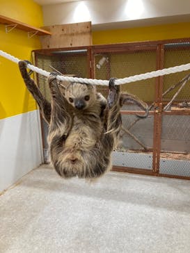 アニタッチ 東京ドームシティに投稿された画像（2024/12/7）