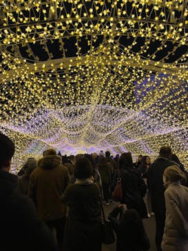 東京メガイルミに投稿された画像（2024/12/7）