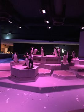 AOAO SAPPOROに投稿された画像（2024/12/7）