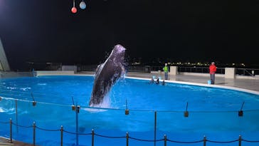 マリンワールド海の中道に投稿された画像（2024/12/7）