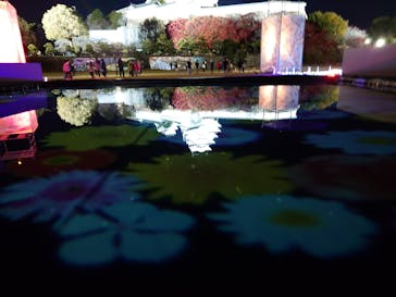 姫路城ライトアップイベント　鏡花水月　@姫路城三の丸広場に投稿された画像（2024/12/7）