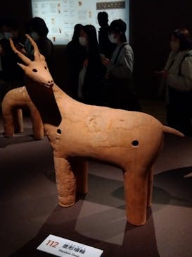 挂甲の武人 国宝指定50周年記念 特別展「はにわ」@東京国立博物館 平成館に投稿された画像（2024/12/7）