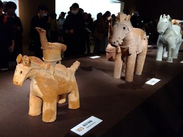 挂甲の武人 国宝指定50周年記念 特別展「はにわ」@東京国立博物館 平成館に投稿された画像（2024/12/7）