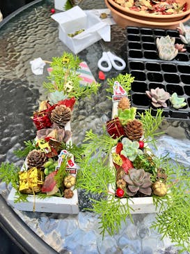 神戸どうぶつ王国に投稿された画像（2024/12/7）