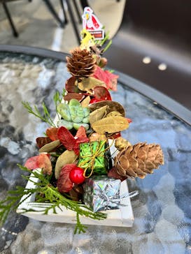 神戸どうぶつ王国に投稿された画像（2024/12/7）