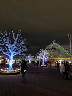 東京メガイルミに投稿された画像（2024/12/7）