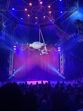 ハッピードリームサーカス湘南・平塚公演に投稿された画像（2024/12/7）