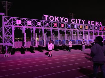 東京メガイルミに投稿された画像（2024/12/7）