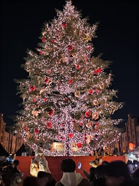 Christmas Market in 横浜赤レンガ倉庫 2025に投稿された画像（2024/12/7）