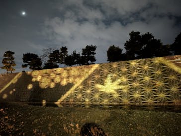 NAKED meets 二条城 2025 観月に投稿された画像（2024/12/7）