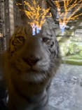 東武動物公園に投稿された画像（2024/12/7）