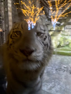 東武動物公園に投稿された画像（2024/12/7）