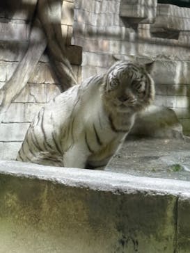 東武動物公園に投稿された画像（2024/12/7）