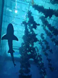 仙台うみの杜水族館に投稿された画像（2024/12/7）