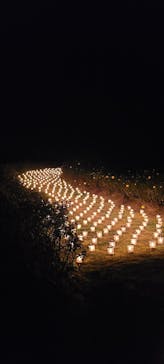 世羅高原農場に投稿された画像（2024/12/7）