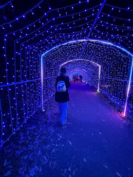 さがみ湖MORI MORIに投稿された画像（2024/12/7）