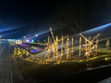 鹿児島イルミナージュに投稿された画像（2024/12/7）