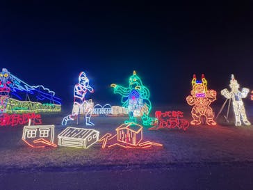 鹿児島イルミナージュに投稿された画像（2024/12/7）