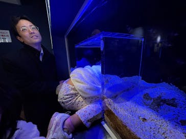 竹島水族館に投稿された画像（2024/12/7）