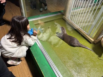 竹島水族館に投稿された画像（2024/12/7）