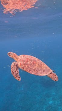  マリンショップHAPPYに投稿された画像（2024/12/7）