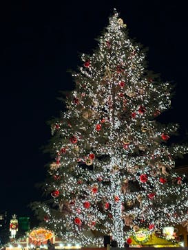 Christmas Market in 横浜赤レンガ倉庫 2025に投稿された画像（2024/12/7）