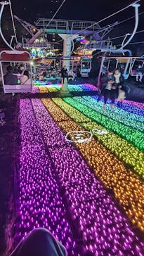 さがみ湖MORI MORIに投稿された画像（2024/12/7）