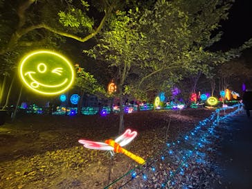 みろくの里に投稿された画像（2024/12/7）