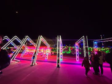 みろくの里に投稿された画像（2024/12/7）