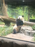 恩賜上野動物園に投稿された画像（2024/12/8）