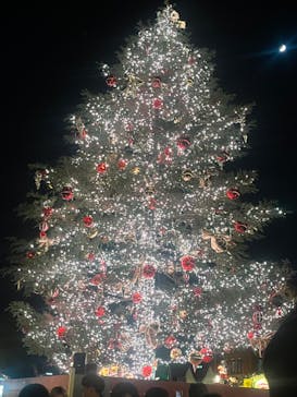 Christmas Market in 横浜赤レンガ倉庫 2025に投稿された画像（2024/12/7）