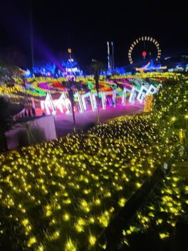 みろくの里に投稿された画像（2024/12/7）