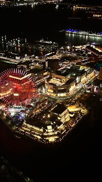 横浜ランドマークタワー 69階展望フロア スカイガーデンに投稿された画像（2024/12/7）