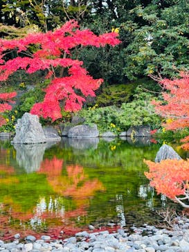 万博記念公園に投稿された画像（2024/12/7）