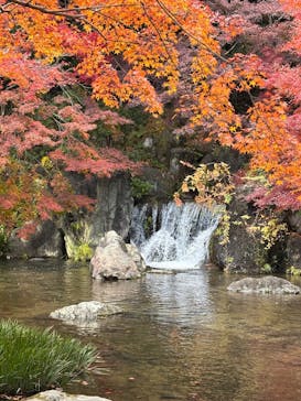 万博記念公園に投稿された画像（2024/12/7）