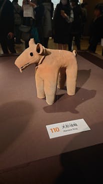挂甲の武人 国宝指定50周年記念 特別展「はにわ」@東京国立博物館 平成館に投稿された画像（2024/12/7）